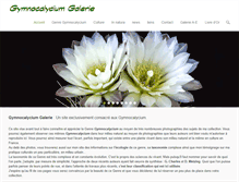 Tablet Screenshot of gymnocalycium.fr